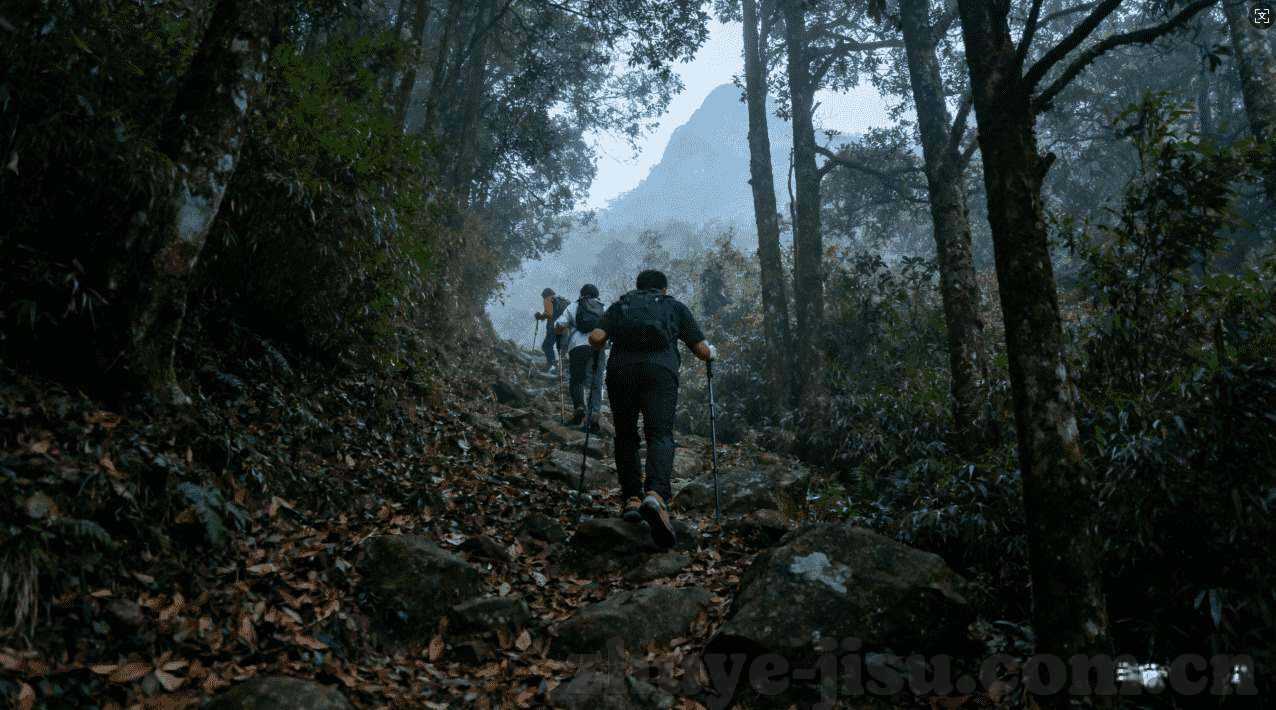 世界杯竞猜的网站-世界杯竞猜网站，体验足球盛宴的另类方式